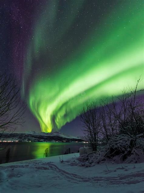 Polar Arctic Northern Lights Aurora Borealis Sky Star In Scandinavia