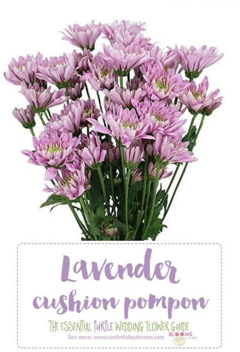 Delicate red or pink bells dangle above wiry stems. The Complete Guide to Purple Wedding Flowers + Purple ...
