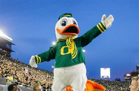 Ranking The 10 Best Dressed Mascots In College Football