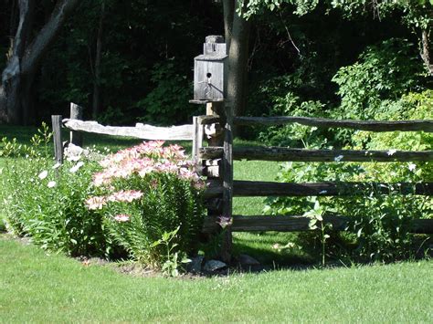 Rails placed narrow side up sag the least and are recommended for heavy fences and those with posts that are 6 feet or more apart. cedar rail fence with bird house and garden, beautiful ...
