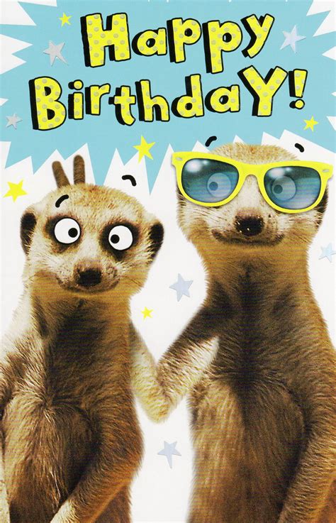 Funny Animals Birthday Wishes The Cake Boutique