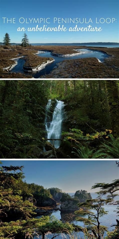 The Olympic Peninsula Loop Is An Unbelievable Adventure Beach Trip