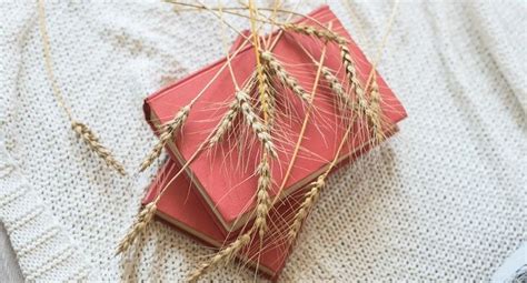 What To Write In A Book As A T 40 Bookish Inscription Ready Quotes