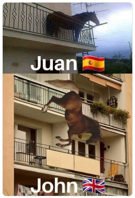 Meme Otros Cómo Distinguir A Un Caballo Español De Uno Británico
