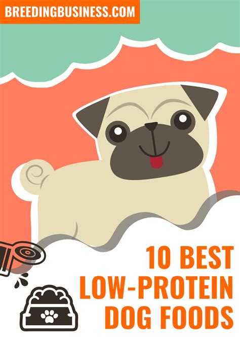Best dog meal for goldendoodles puppy perfect canine food is significant to sustain an ethical health. 9 Best Low-Protein Dog Foods - Kidney Disease, Reviews & Tips