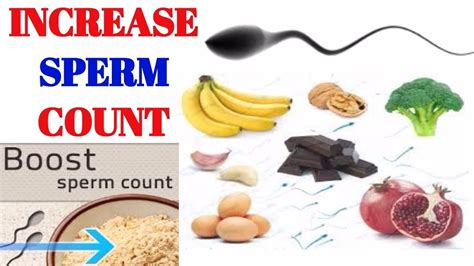 Fruits For Healthy Sperm Production Food Keg