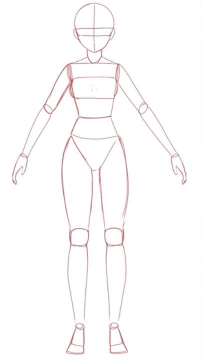 How To Draw Body Anatomy By Jin Yana Lei Em 2021 Desenhando Corpo