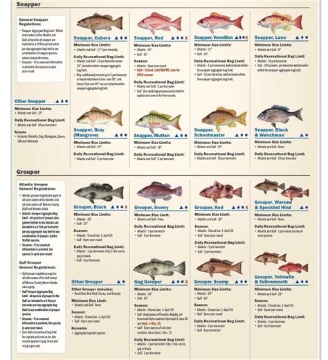 2019 Destin Florida Fishing Regulations Destin Inshore Guides