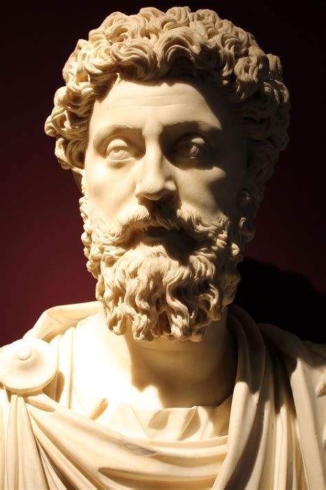 19 Best Of Marcus Aurelius Bust 3d Model