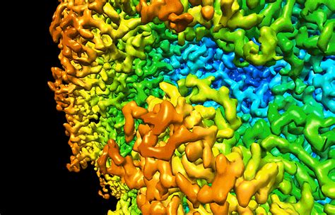 In fact, norovirus is the leading cause of diarrheal illness in the u.s. Norovirus | barfblog
