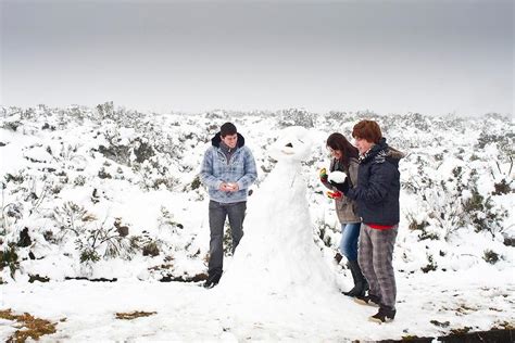 Si en brasil cae nieve o no, recordemos que es un país enorme que ocupa gran parte de américa del sur; Nieve en Brasil | Fotogalería | el_weso | WRadio México | AMP