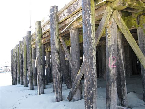 Pile definition, an assemblage of things laid or lying one upon the other: Timber Pile Removal and the Benefits to our Environment ...