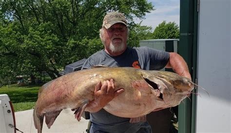 Angler Lands Record Flathead Catfish Creatively Spares Its Life