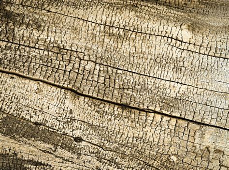 Rotten Wood Texture Photograph By Jozef Jankola Fine Art America
