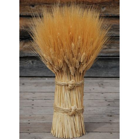 Blond Vertical Wheat Cones Bundles - Wheat Sheaves Bundle