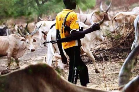 Fulani Herdsmen Attacks In Nigeria Heres All You Need To Know