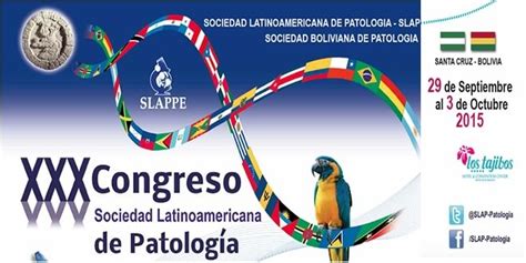 Sociedad Latinoamericana De Patolog A Slap Patologia Org