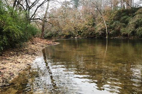 Check spelling or type a new query. Land for sale on the Locust Fork of the Warrior River