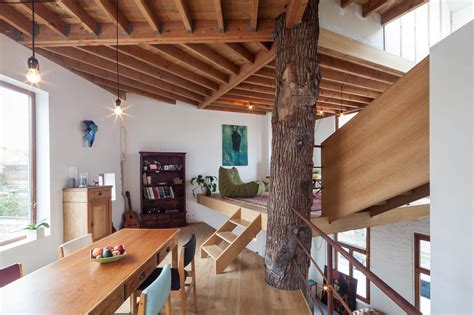 Kartasan House by Atelier Vens Vanbelle Has an Oak Tree at its Center