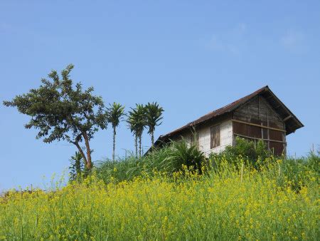 Rumah di Atas Bukit - Belajar Bersyukur