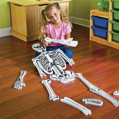 Human Anatomy Puzzles Educational And Fun Jigsaw Puzzles