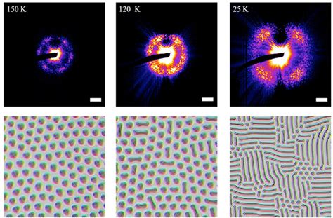 Coherent Scattering Imaging Of Skyrmions