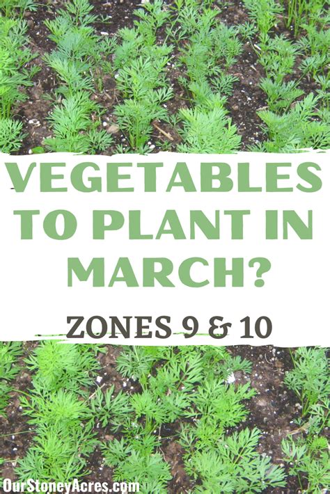 March Planting Guide Zones 9 And 10 Our Stoney Acres Vegetable Planting Guide When To Plant