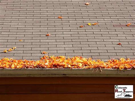 Fall Roofing Maintenance Important Tips To Keep In Mind