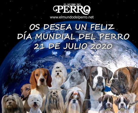 May 27, 2021 · día internacional del perro sin raza 2021. 21 de julio Día Mundial del Perro | ElMundodelPerro.net