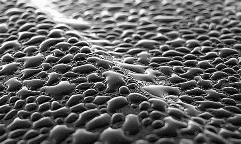 Check spelling or type a new query. 30+ Refreshing Water Dew Texture for your Design | Naldz ...