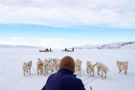 Dog Sledding Tour Kangerlussuaq West Greenland Guide To Greenland