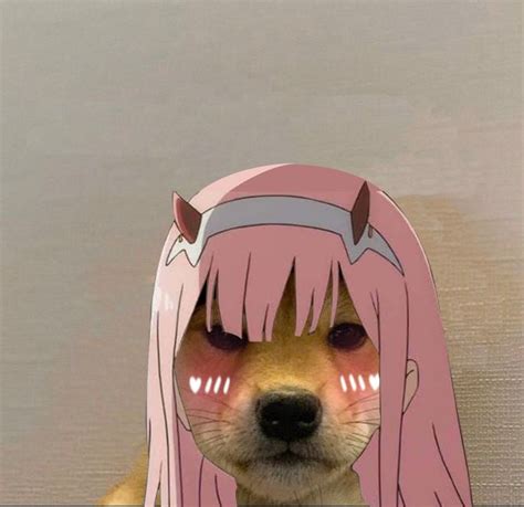 Pin By Tsuki On Pjeski Anime Funny Dog Icon Anime Memes