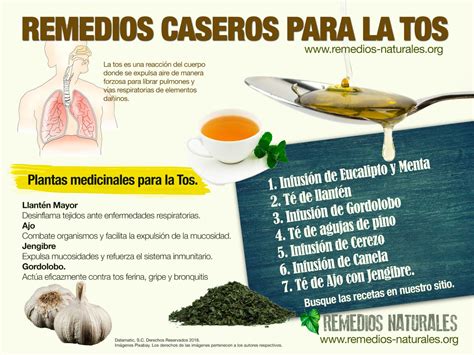Remedios Caseros Para La Tos Visually