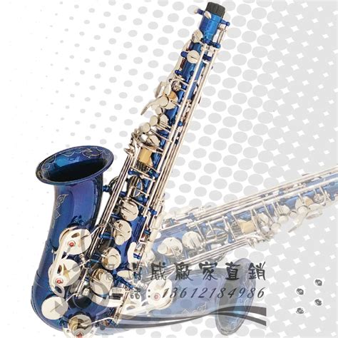 Blue Alto Saxophone Medianly E Blue Paint Gold Key Silver Key Saxe Tube