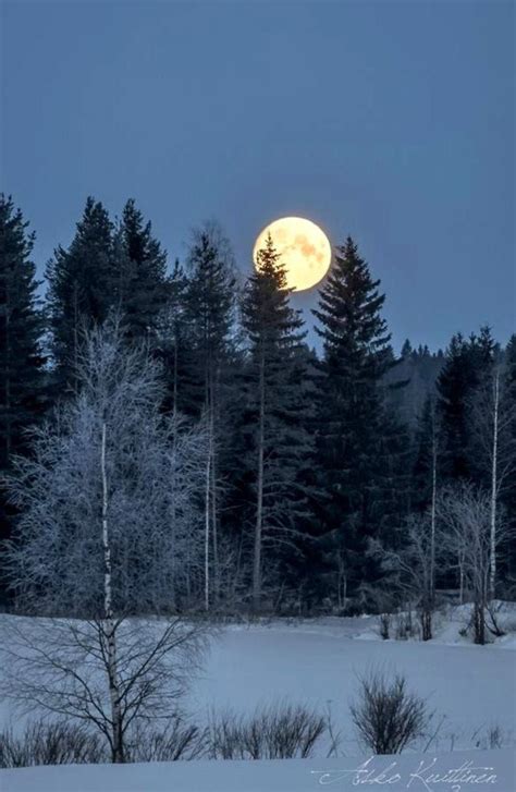Beautifulthings Winter Snow Moon Winter Scenery Moonlight Moon