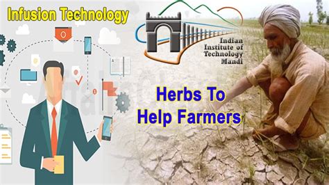 Iit Mandi Develops Herbal Infusion Technology To Help Farmers In The