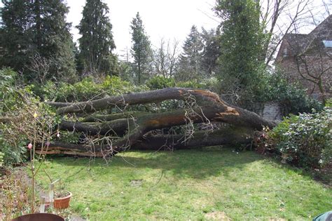 We did not find results for: Garten&Baum - Marcus Schmidt Garten- und Landschaftsbau