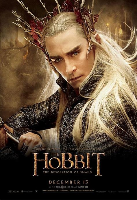 The desolation of smaug is the 2013 epic fantasy adventure film and the second installment in the hobbit motion picture trilogy based on the novel by j. Novos Posters de The Hobbit: The Desolation of Smaug ...