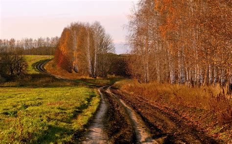 Country Road In Autumn Wallpapers Country Road In Autumn