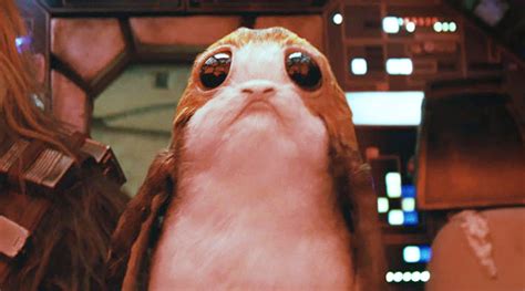 11 Star Wars Creatures We Are Absolutely Mad About