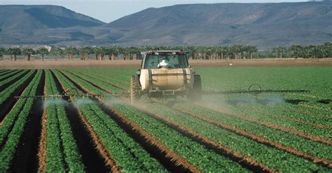 Can California Reverse Epas U Turn On Pesticide Ban Organic Consumers