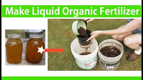 Use the plant feed to water your plants, or as a foliar feed. Homemade Organic Liquid Fertilizer For Vegetables ...