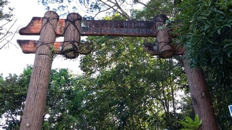 A fascinating recreational forest reserve with a catchment area of unique flora and fauna. Mohd Faiz bin Abdul Manan: Hutan Lipur Gunung Nuang