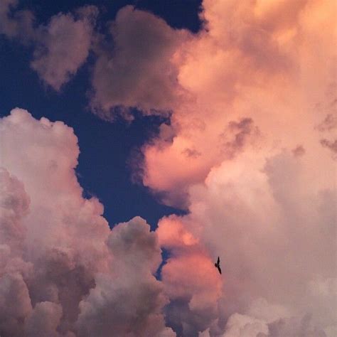 Pin By ℭ𝔬𝔫𝔰𝔱𝔞𝔫𝔱𝔦𝔫𝔢 𝔏𝔦𝔞𝔩 On •sᴋʏᴀᴇsᴛʜᴇᴛɪᴄs• Sky Aesthetic Pretty