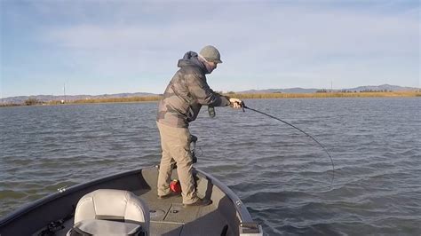 One Decent Striper Today California Delta Striped Bass Fishing YouTube