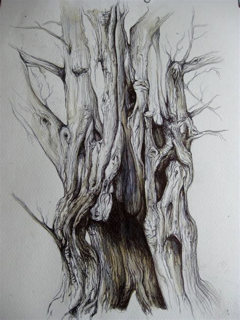 Tree drawings pencil cool landscapes art inspiration landscape drawings tree art nature drawing art here's a list of over 20 tree drawing and painting ideas. Biro enchanted tree in 2020 (With images) | Tree drawing ...