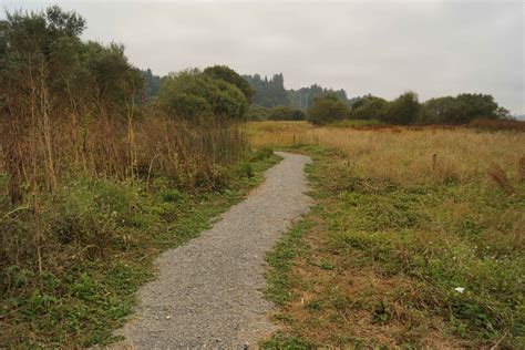WALKING HUMBOLDT: Lacks Creek, Freshwater and Other Excursion Hikes