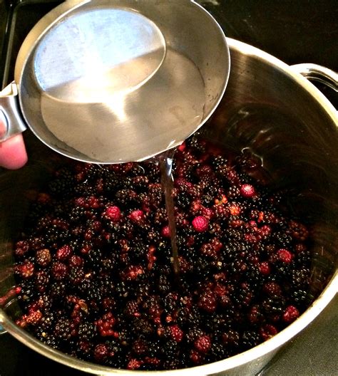 Fresh blackberry jelly is a seasonal delight around here since we have 40+ blackberry bushes that our favorite way to eat this blackberry jelly is on warm homemade biscuits or freshly baked bread! Homemade Blackberry Jelly - Easy Step-by-step Instructions ...