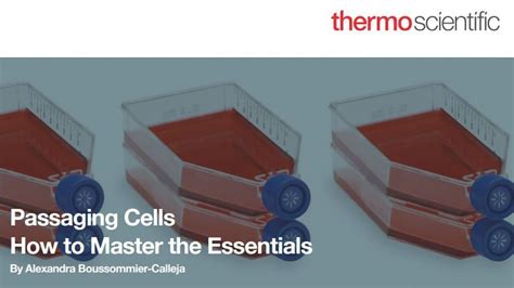 Passaging Cells How To Master The Essentials Technology Networks