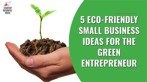 5 Eco Friendly Small Business Ideas For The Green Entrepreneur
